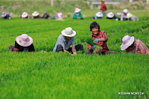Китай положил хорошее начало продвижению подъема сельских районов - чиновник