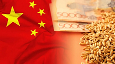 Казахстан значительно увеличит экспорт зерна в Китай в 2024 году
