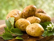 China to grow potatoes on dark side of the Moon