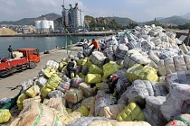 China imported less solid waste in Q1