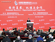 Вице-премьер Госсовета КНР Дин Сюэсян: необходимо расширять открытость