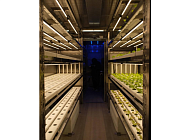 В Китае разработали фермы для выращивания свежих овощей на судах