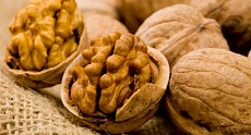 Ukraine to become world’s third country after China and US in walnuts harvesting