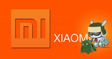 Chinese Xiaomi has applied for IPO in Hong Kong with dual-class shareholding structure