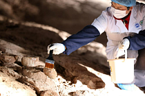 В Китае крупнейшее в мире скопление яиц динозавров получило «нанозащиту»