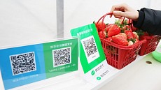 Volume of mobile payments in China exceeded 81 trillion yuan