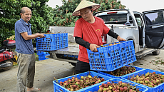 В Китае сократился разрыв в доходах между городским и сельским населением