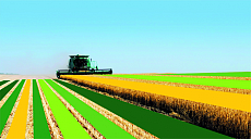 В Китае площадь сельхозугодий высокого стандарта превысила 1 млрд му