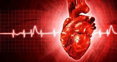 Chinese scientists have discovered a critical heart development gene  