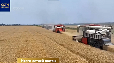 Новый урожай: производство зерновых в Китае остаётся стабильным