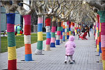  Пекин согревает зиму цветом: деревья на улицах «укутали» в яркие вязаные узоры