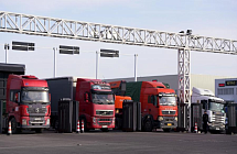 Синьцзян нарастил экспорт цветов и саженцев в Центральную Азию через Хоргос