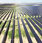 Как борьба с опустыниванием превращает степи Внутренней Монголии в оазисы Как борьба с опустыниванием превращает степи Внутренней Монголии в оазисы