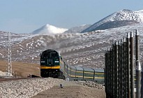 Qinghai-Tibet railroad transported 27 million passengers in 12 years