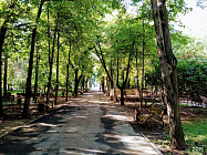 Проект экологического кодекса Китая: расширяя международное сотрудничество