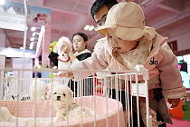 ИИ преобразил индустрию домашних животных в Китае