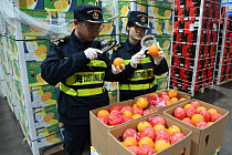 ИИ помогает Китаю укреплять пограничную биобезопасность