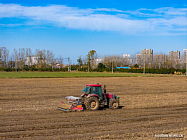 В Китае по всей стране посеяно более 90% озимой пшеницы В Китае по всей стране посеяно более 90% озимой пшеницы