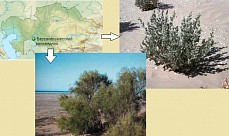 Kazakhstan urges UNESCO to include 3 National Parks in its World Heritage registry